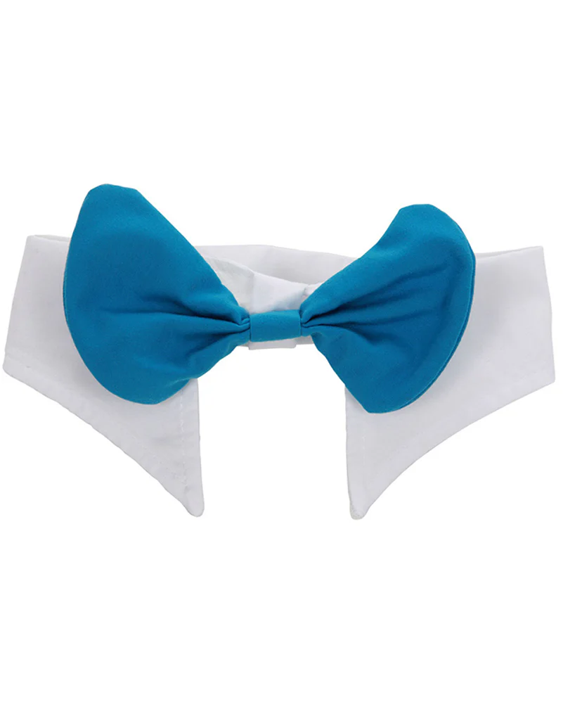 Alice in Wonderland Mad Hatter Hat with Hair and Collar Deluxe Set - Image 5