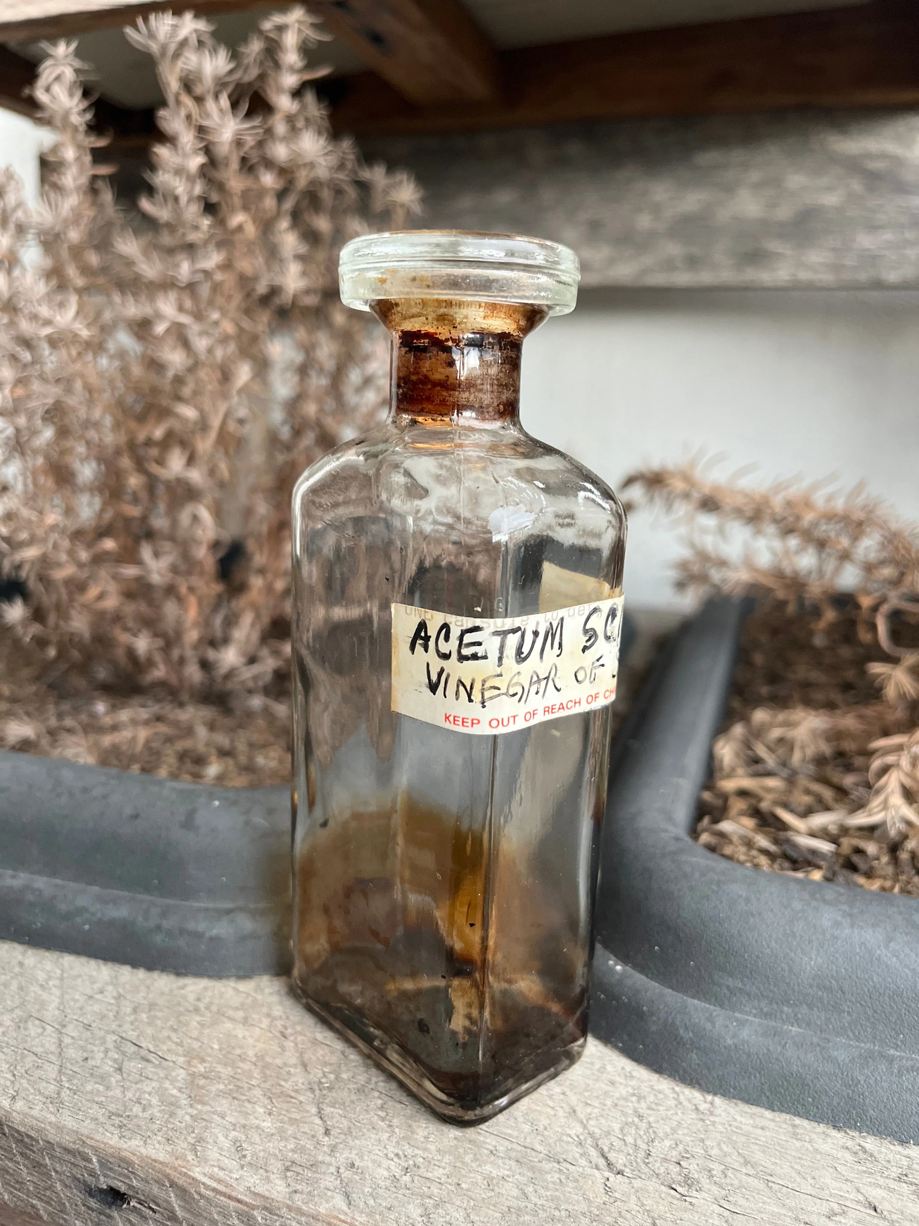 Antique 1890s Acetum Scillae Vinegar of Squill Apothecary Bottle - Image 4