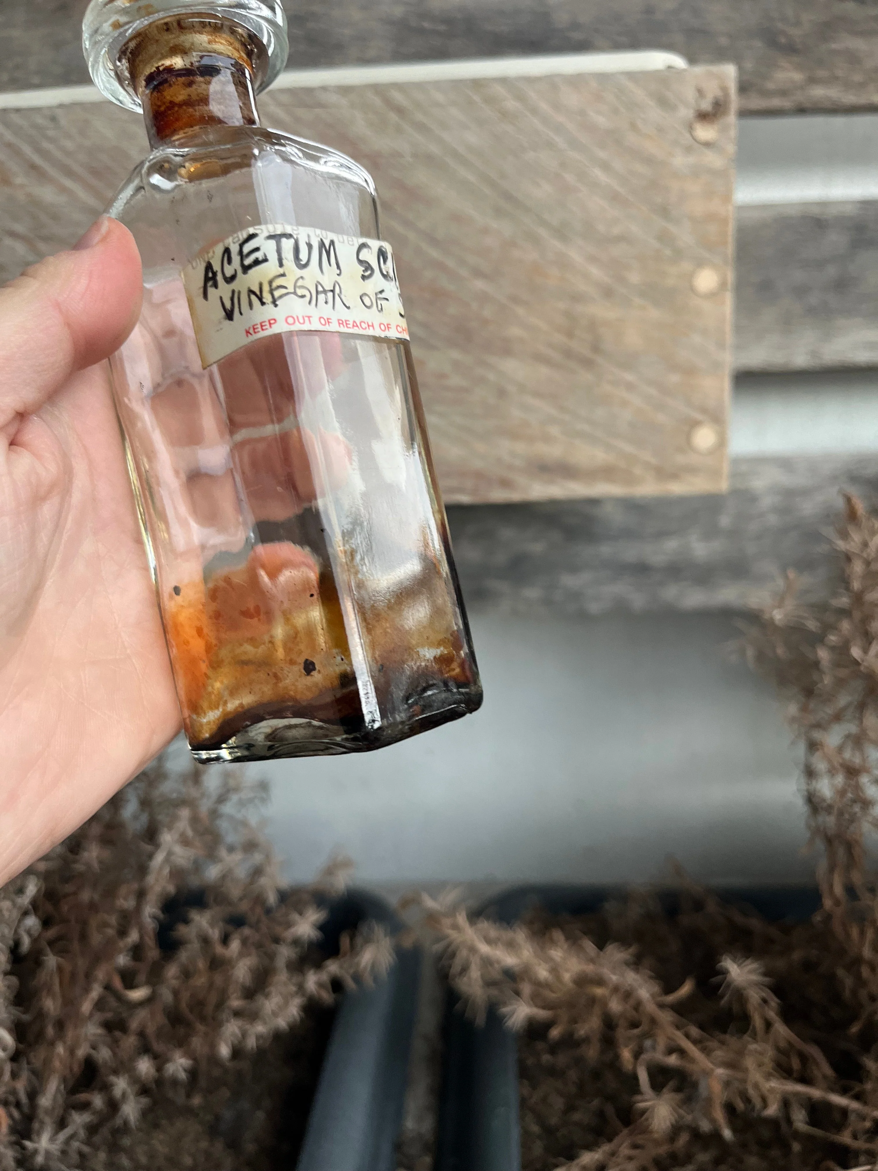 Antique 1890s Acetum Scillae Vinegar of Squill Apothecary Bottle - Image 6