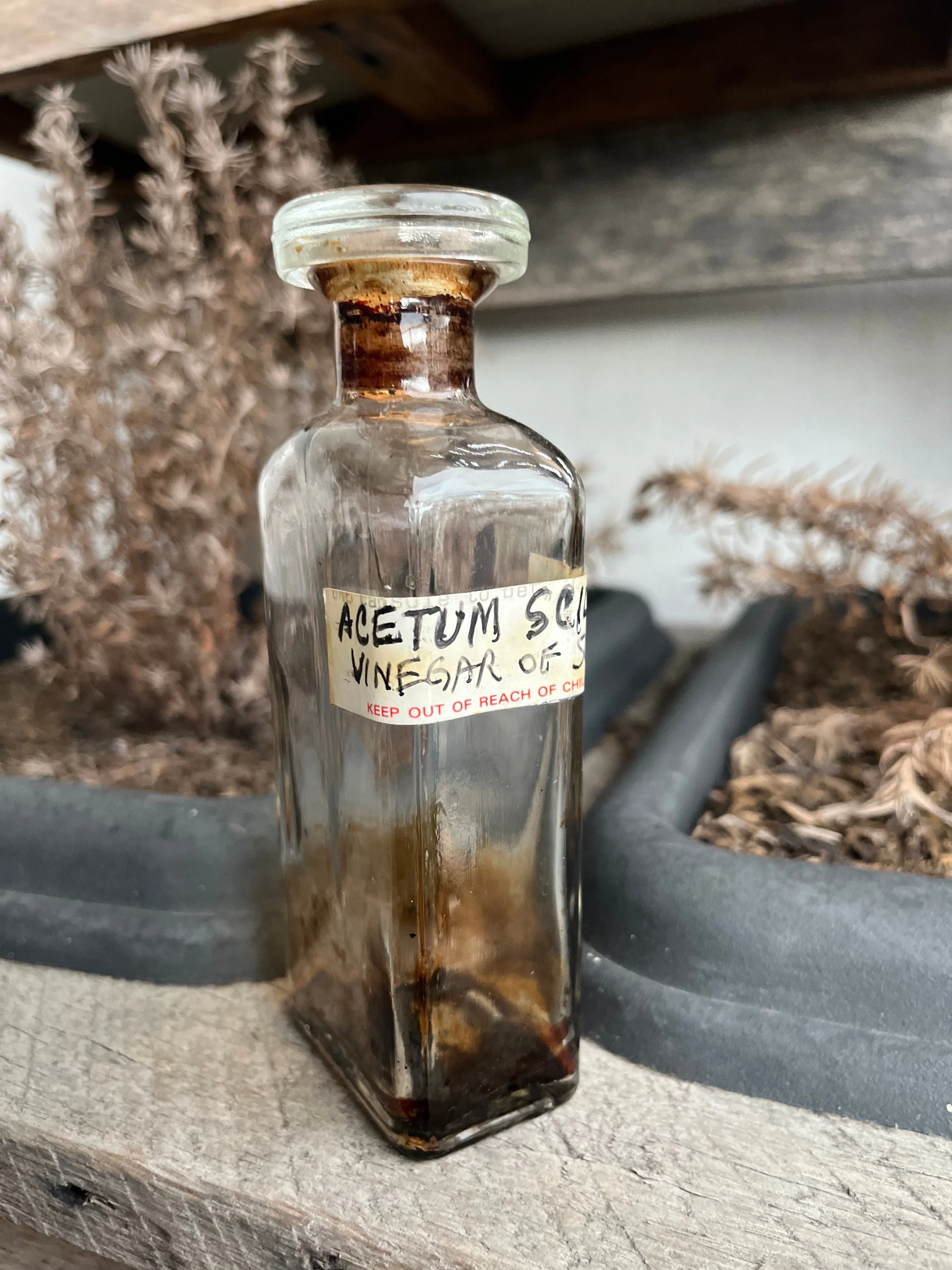 Antique 1890s Acetum Scillae Vinegar of Squill Apothecary Bottle - Image 7