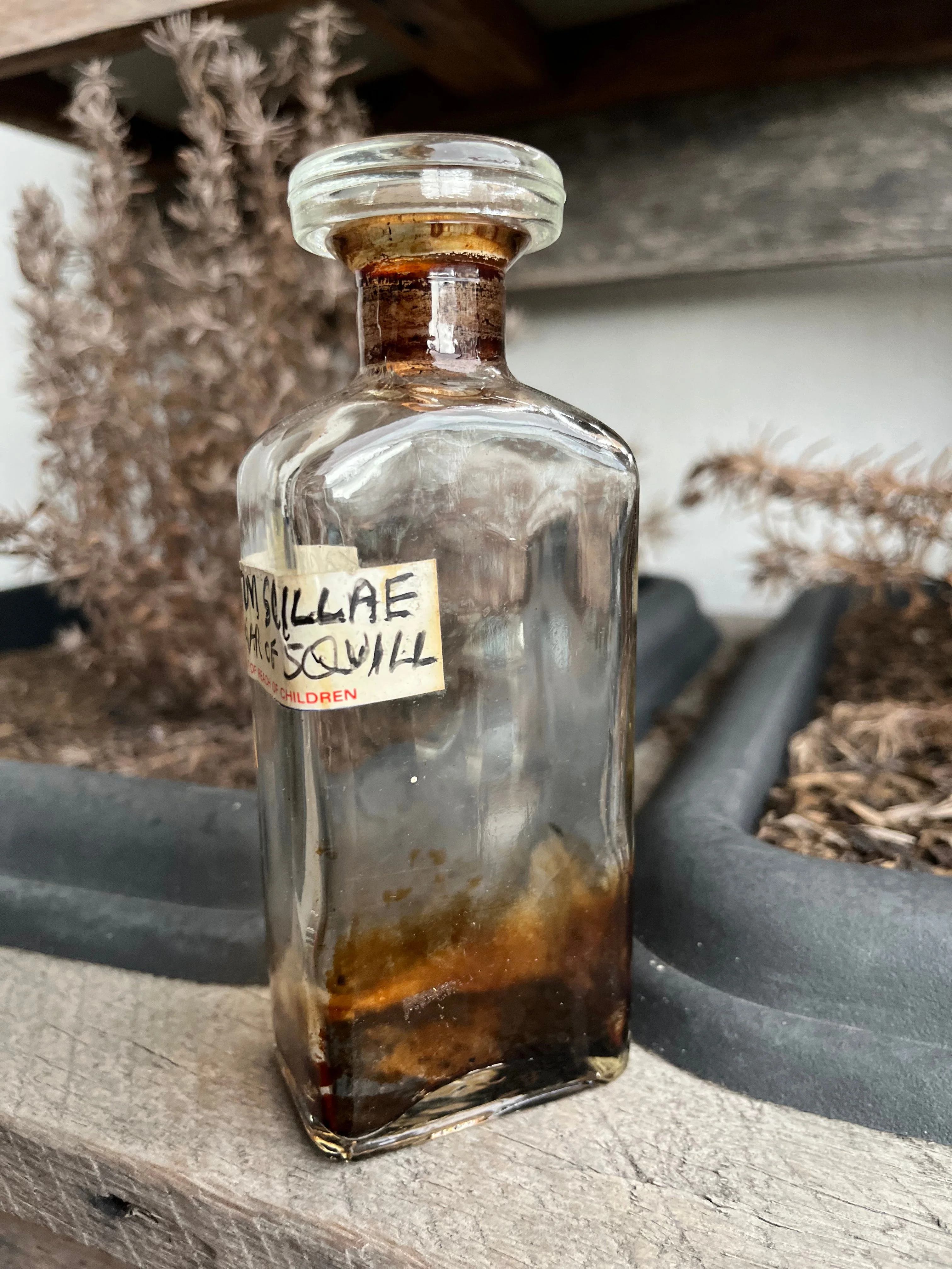 Antique 1890s Acetum Scillae Vinegar of Squill Apothecary Bottle - Image 8
