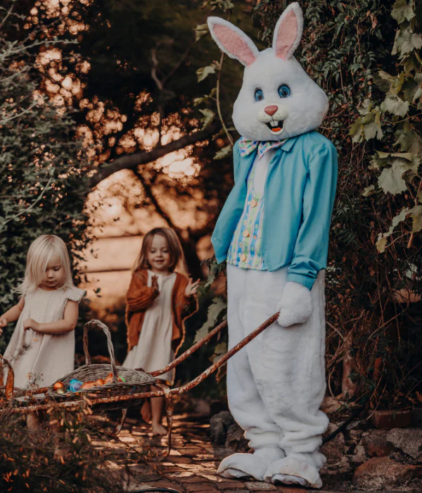 Deluxe Easter Bunny Adult Costume - Image 7