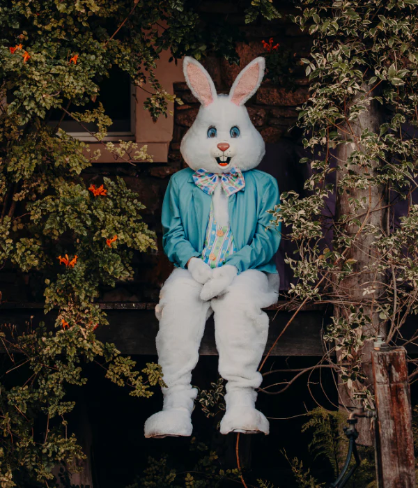 Deluxe Easter Bunny Adult Costume - Image 8