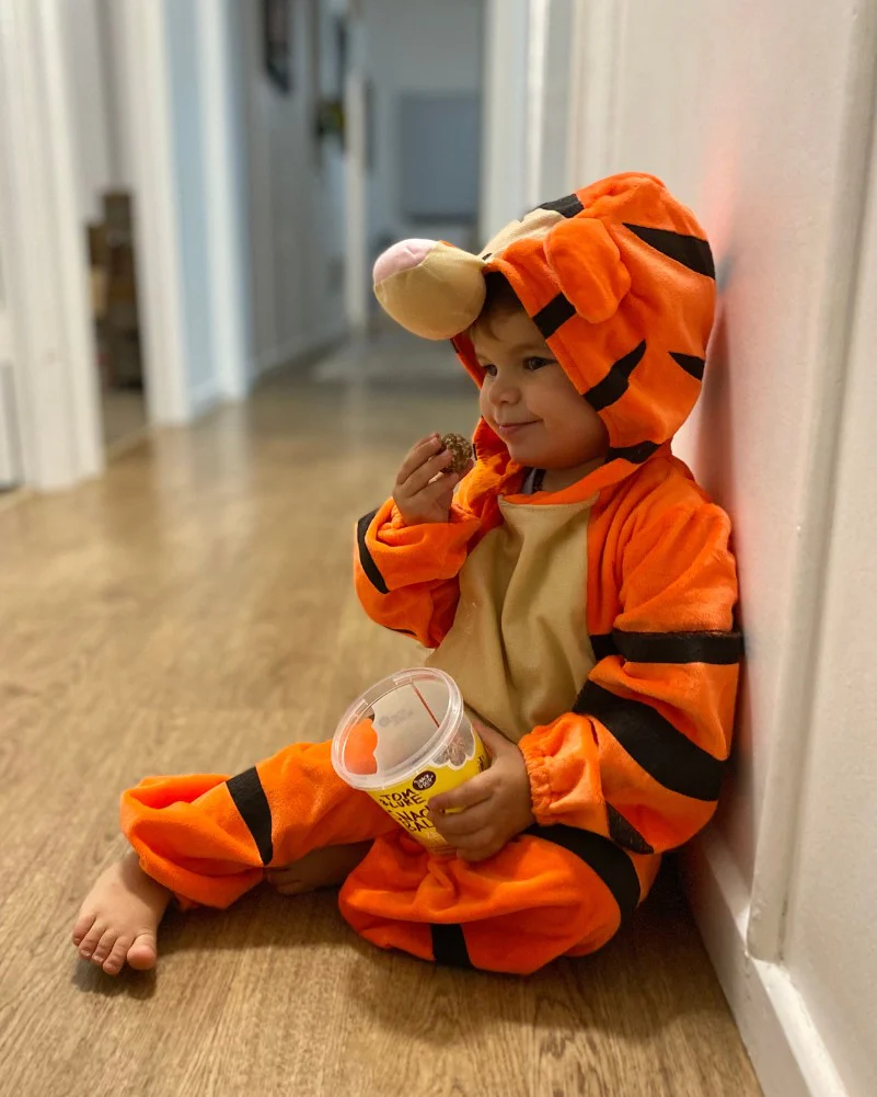 Disney Tigger Furry Jumpsuit Toddler Book Week Costume - Image 4