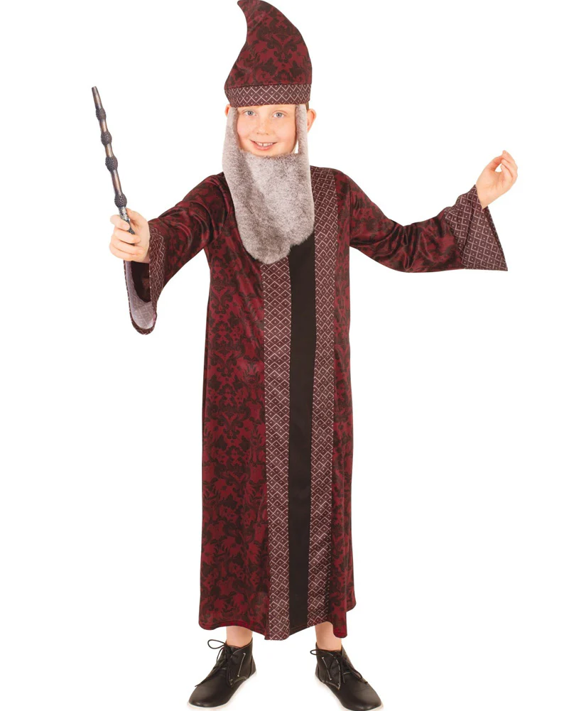 Harry Potter Dumbledore Boys Book Week Costume