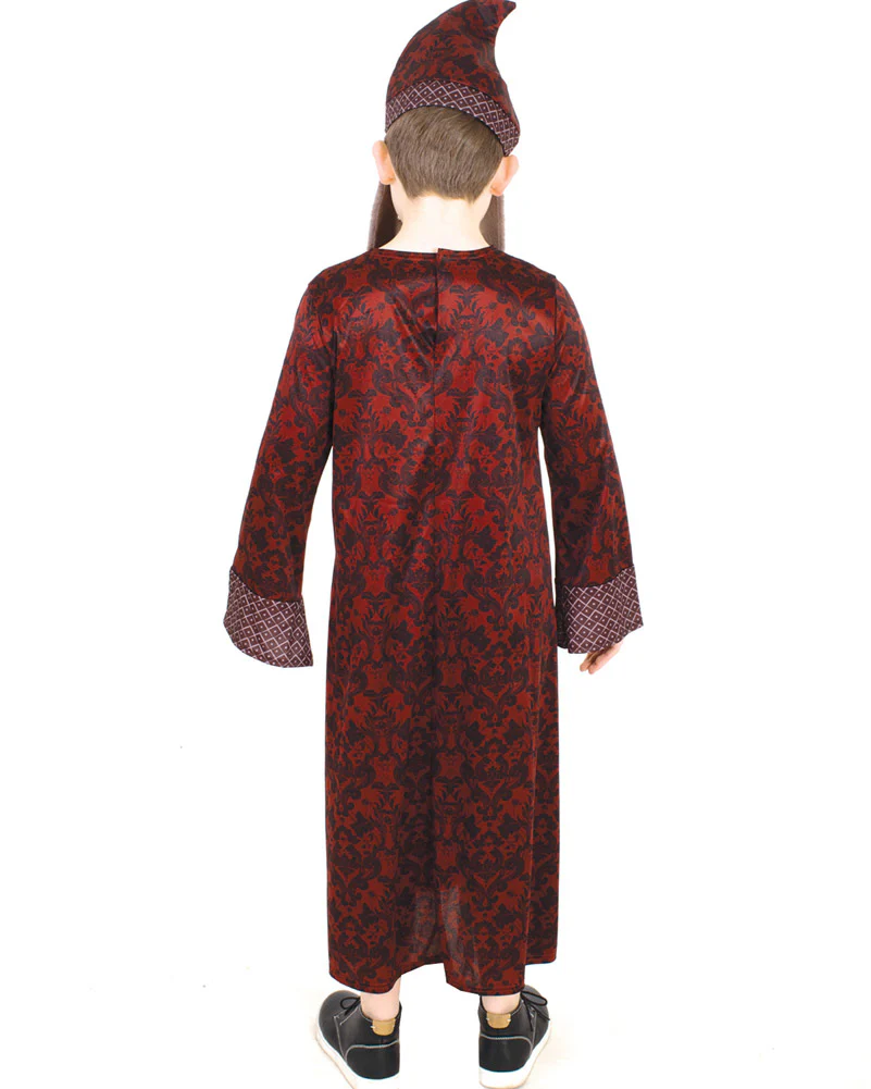 Harry Potter Dumbledore Boys Book Week Costume - Image 4