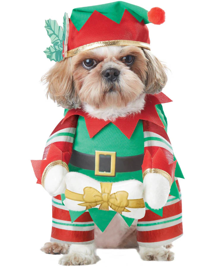 Elf Pup Pet Christmas Costume
