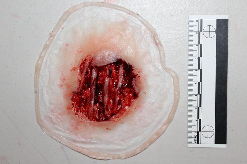 Exposed Hand Ligaments Prosthetic - Image 8