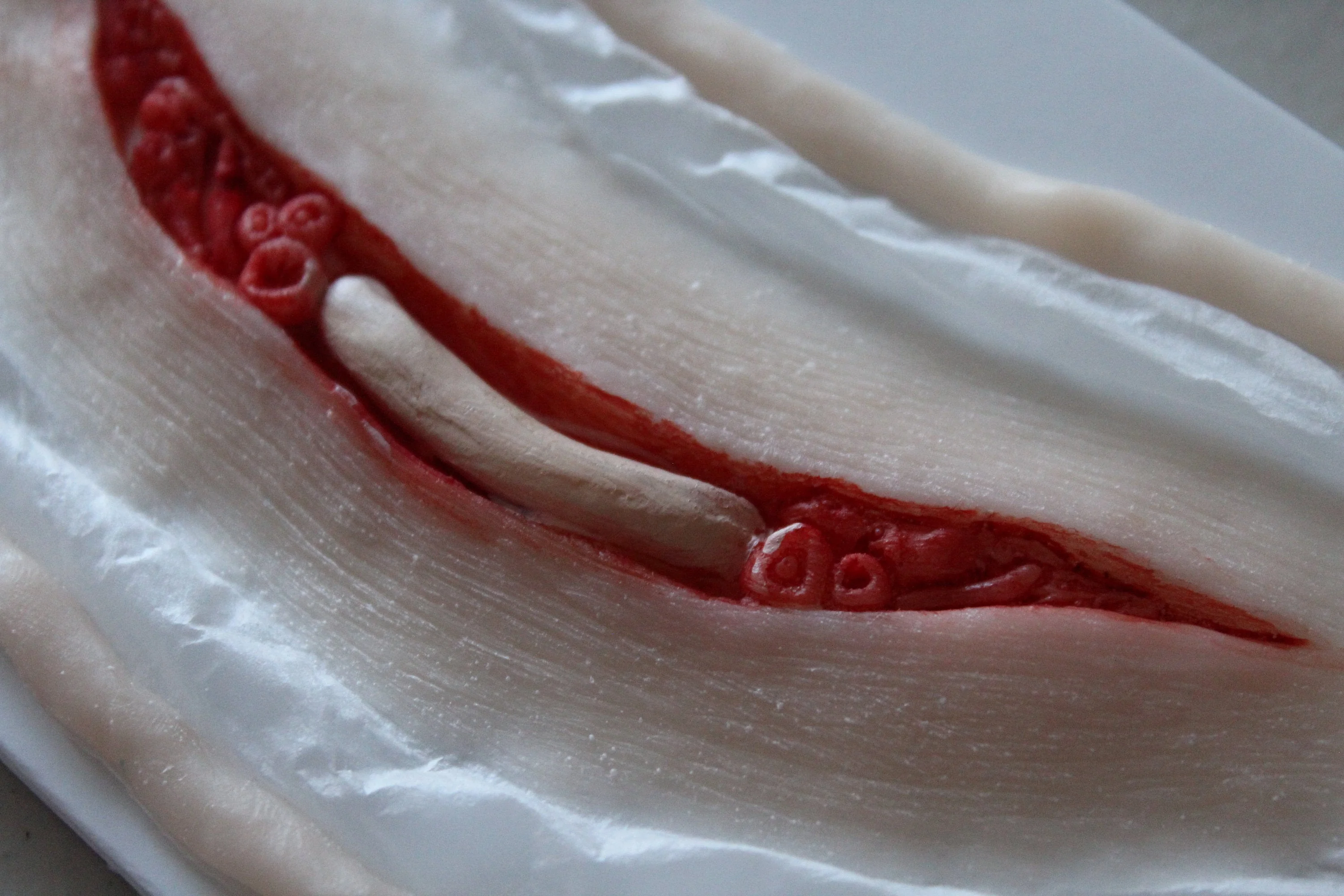 Exposed Slit Throat Prosthetic - Image 3