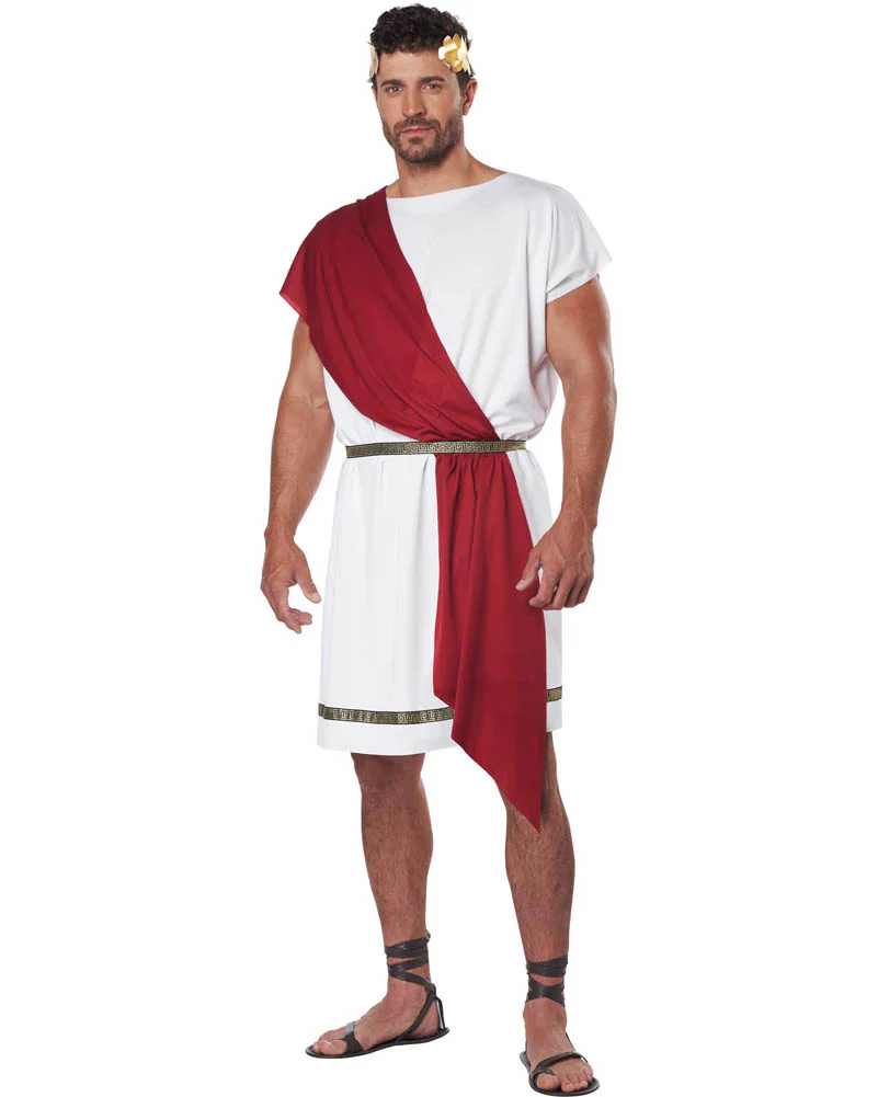 Grecian Party Toga Plus Size Adult Costume - Image 3