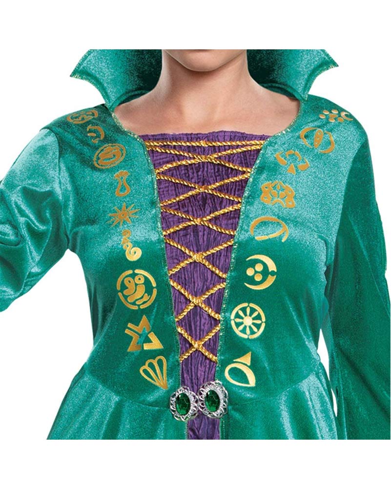 Hocus Pocus Wini Classic Womens Costume - Image 3