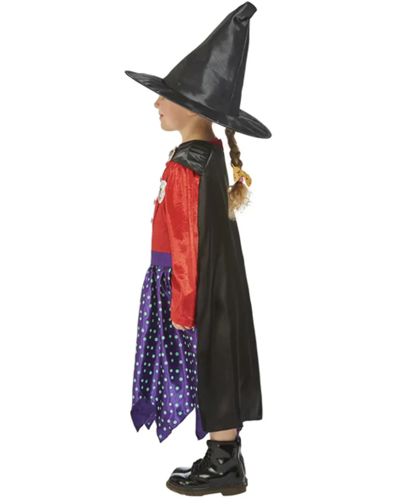 Julia Donaldson Room On The Broom Deluxe Kids Book Week Costume - Image 2