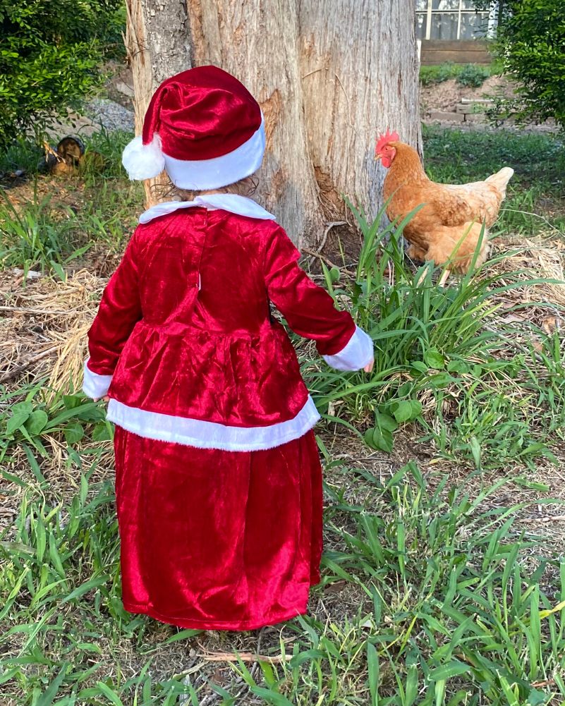 Lil Mrs Claus Dress Toddler and Girls Christmas Costume - Image 4