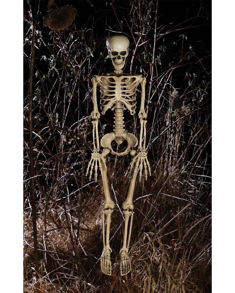 Little Mate Posable Skeleton Prop 90cm - Image 3