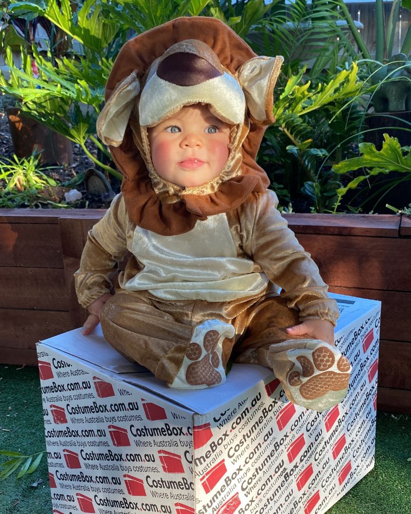 Loveable Lion Baby and Toddler Costume - Image 2