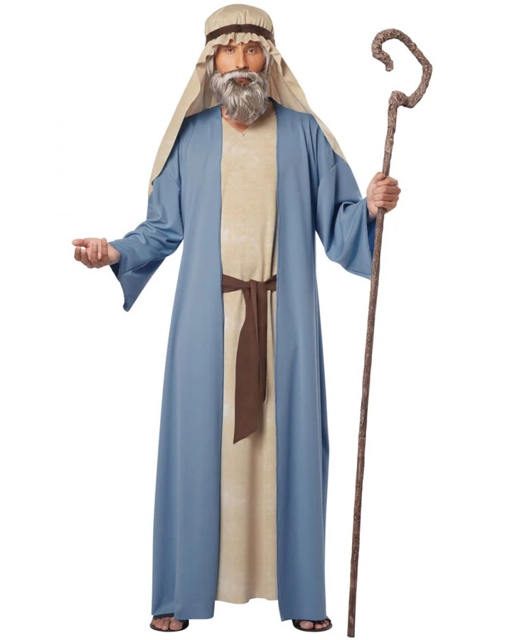 Noah Mens Costume