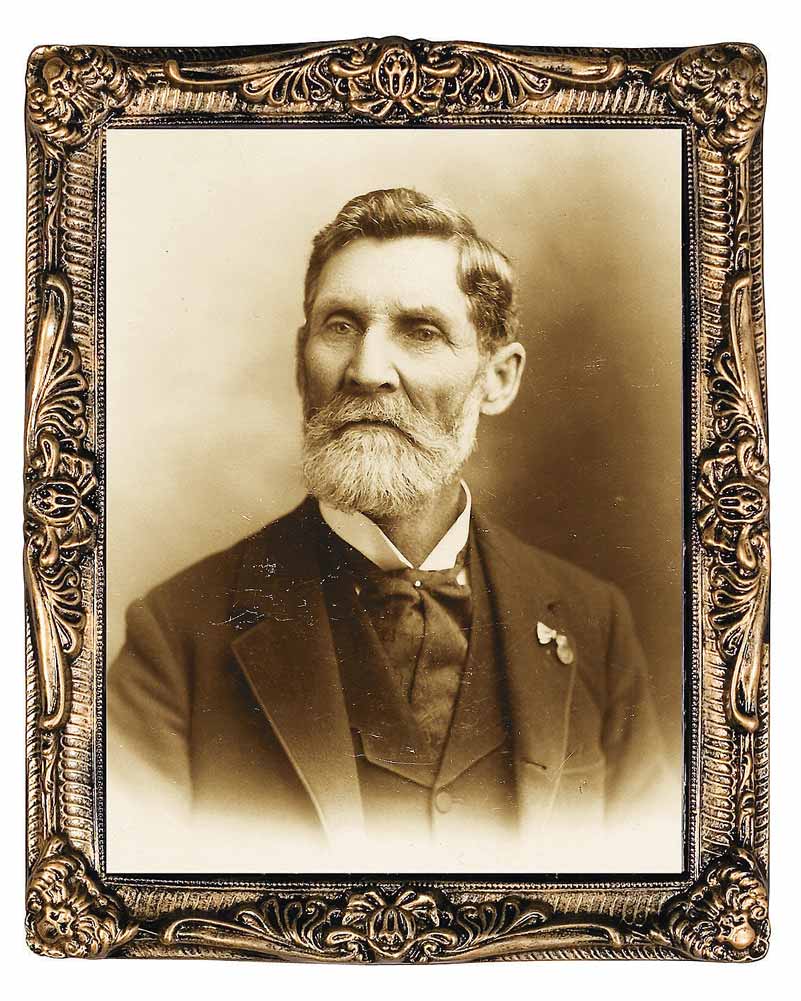 Pappy Fungus Holograph Portrait 53cm - Image 2