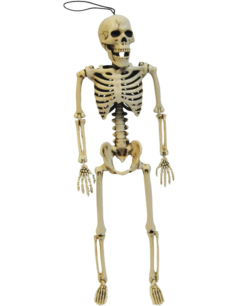Posable Skeleton 36cm - Image 2
