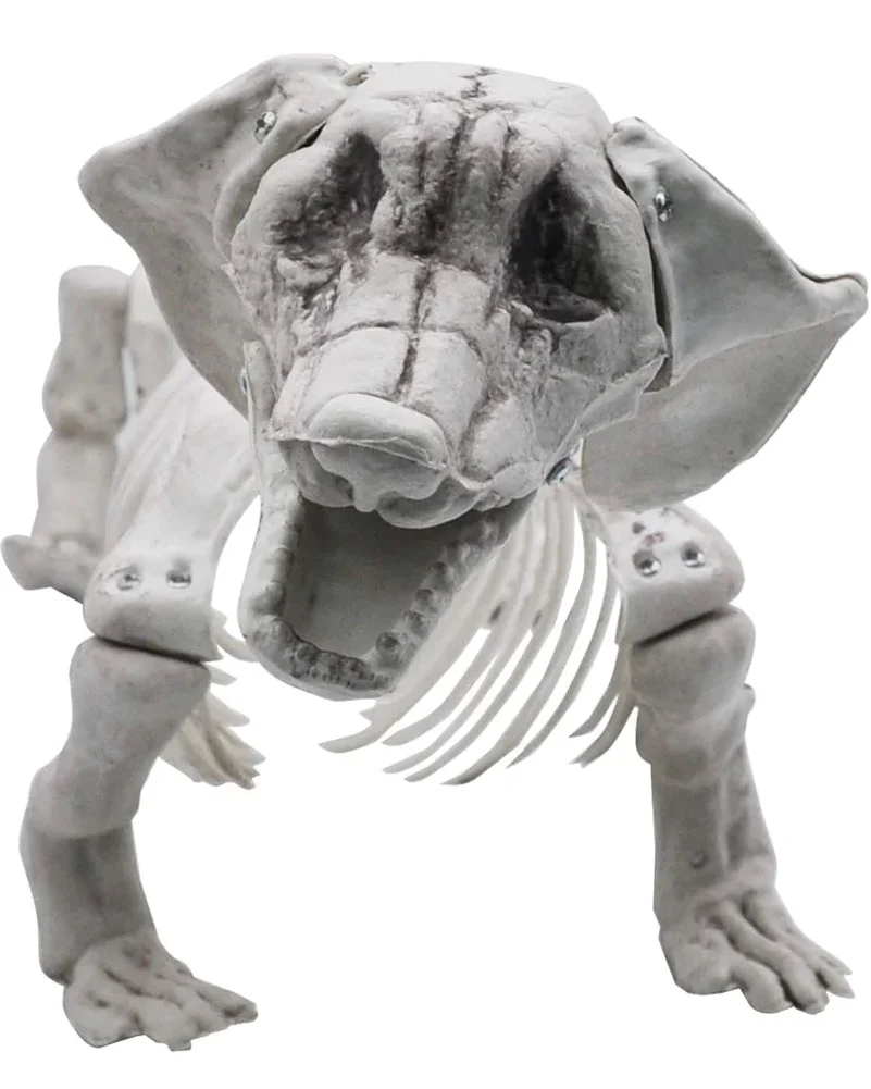 Pose N Stay Wiener Dog Skeleton - Image 2