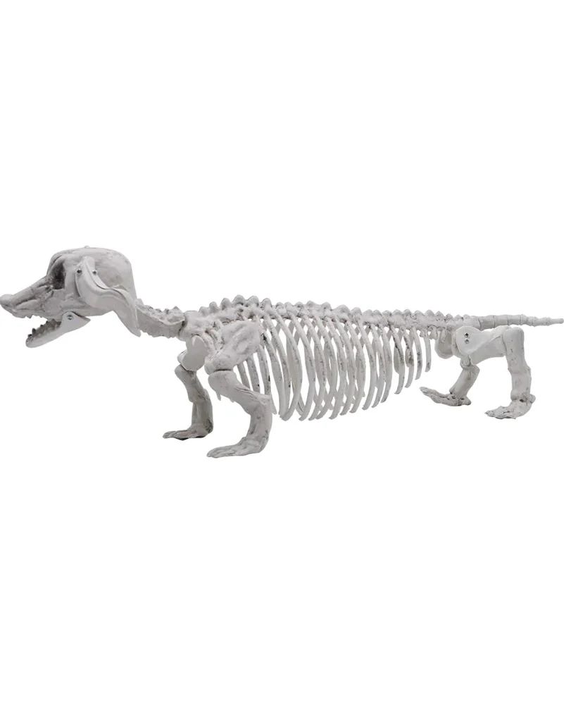 Pose N Stay Wiener Dog Skeleton - Image 3