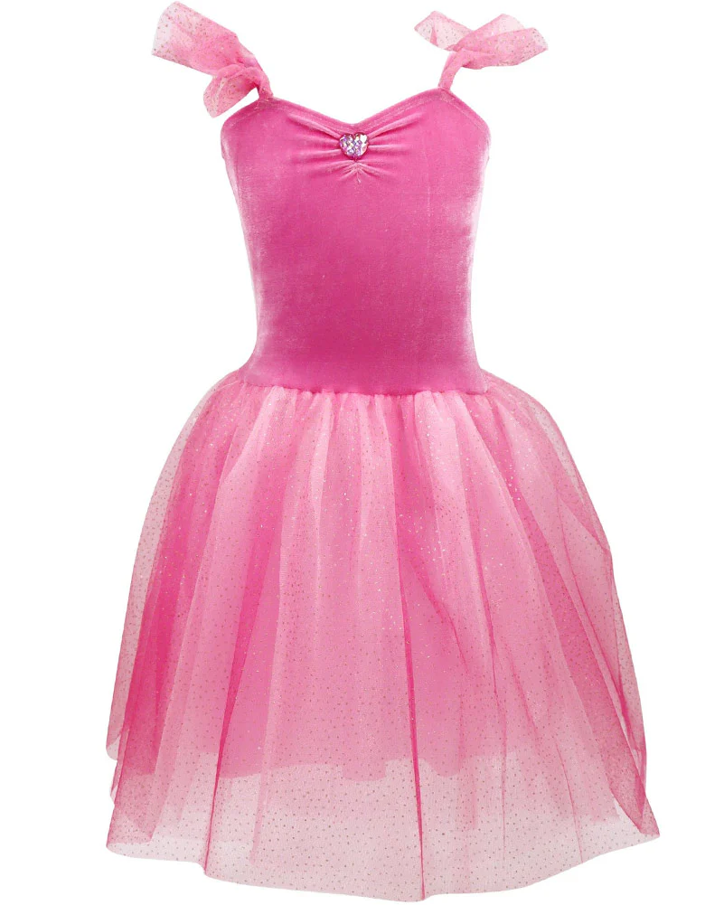 Princess Rose Velvet Dress with Tulle Skirt Girls Book Week Costume