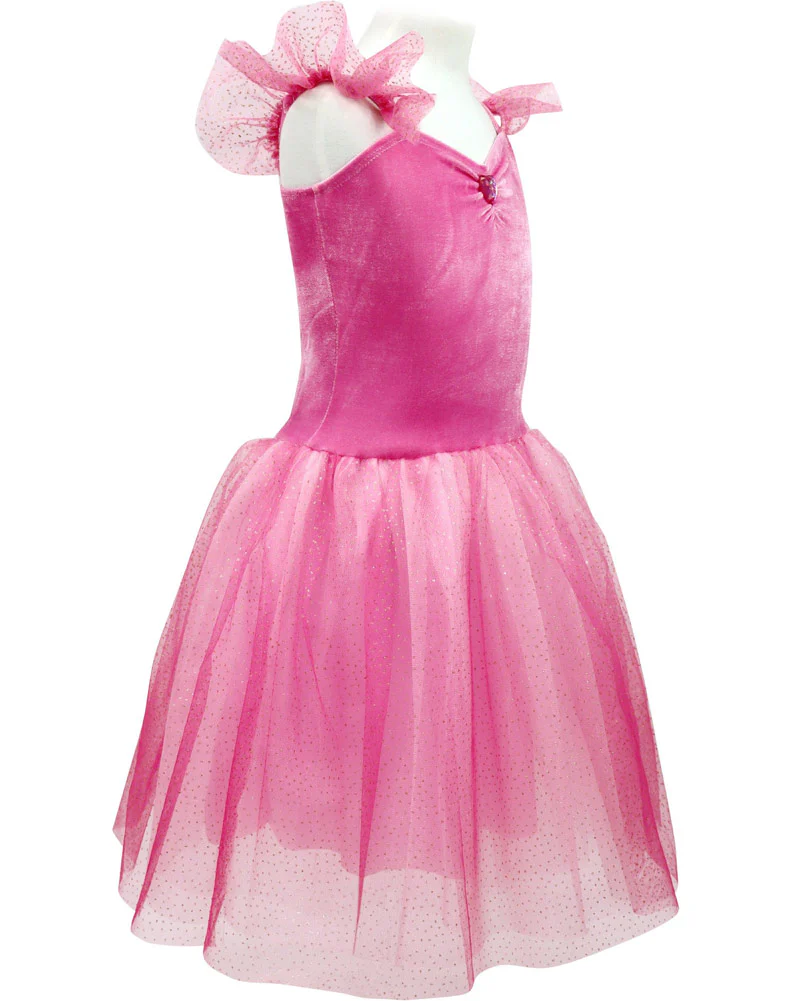 Princess Rose Velvet Dress with Tulle Skirt Girls Book Week Costume - Image 4