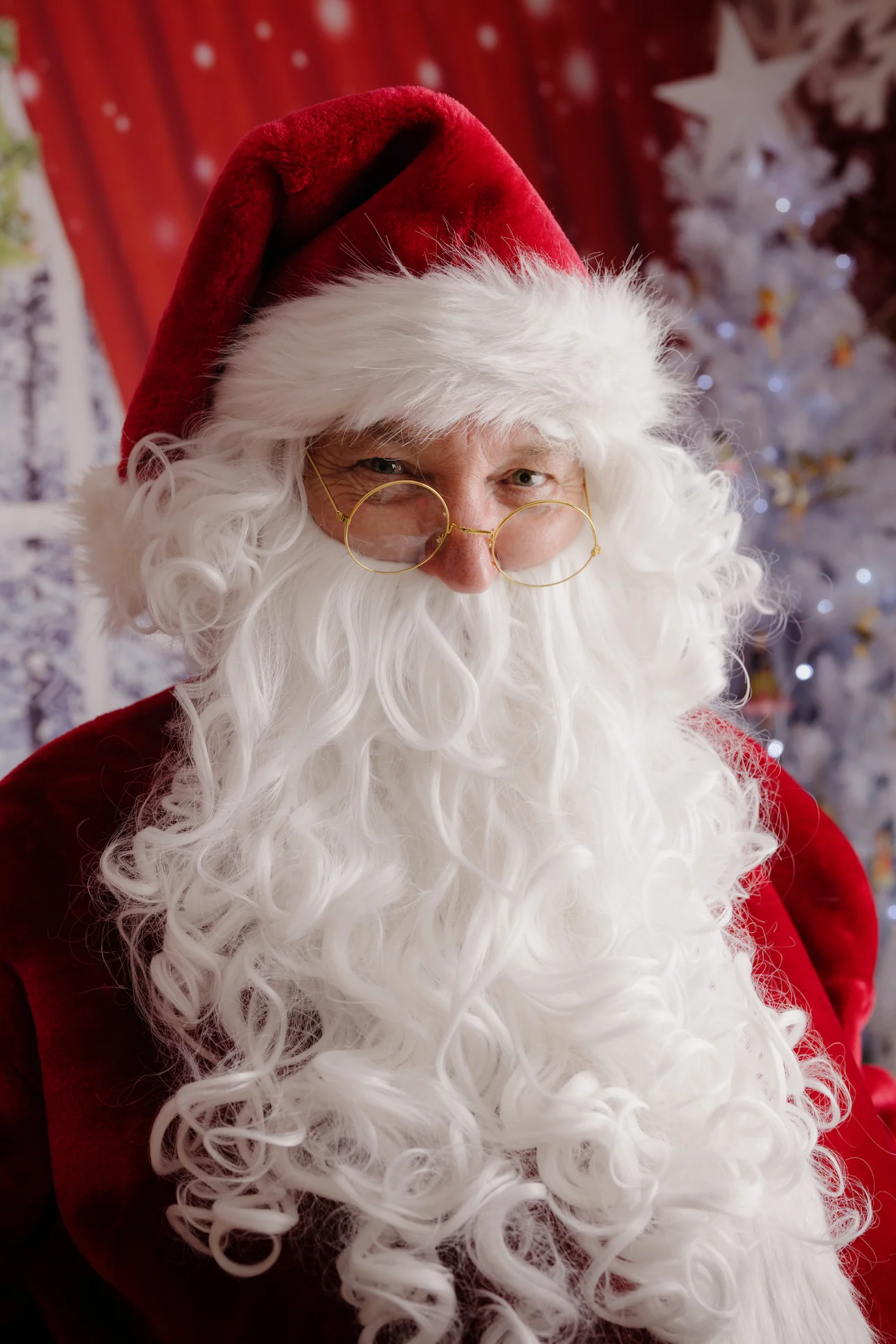 Professional Plush Santa Suit Mens Christmas Costume - Image 8