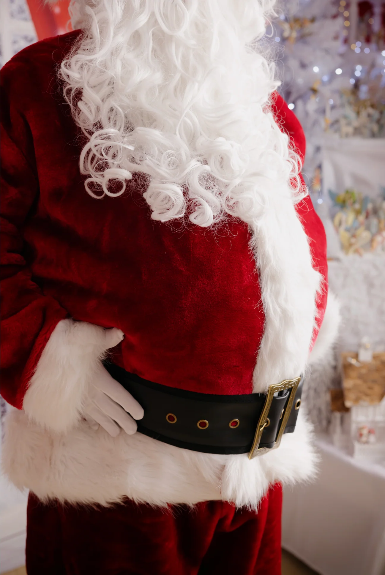 Professional Plush Santa Suit Mens Christmas Costume - Image 9