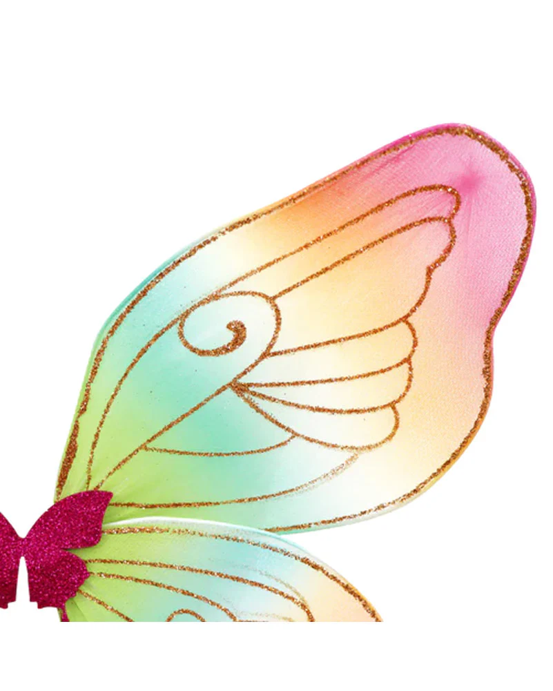 Rainbow Brights Fairy Wings - Image 2