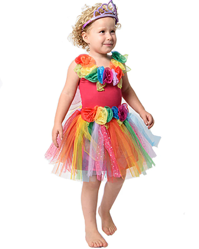 Enchanted Fairy Rainbow Dress Girls Book Week Costume