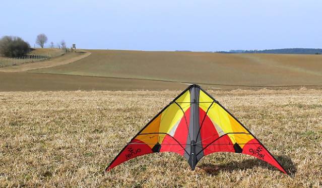 Red and Yellow Stunt Kites - Image 2