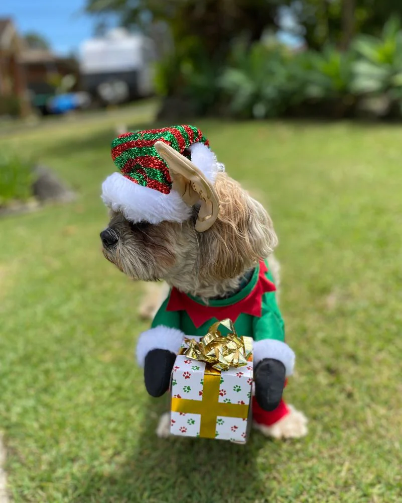Santas Little Yelper Pet Christmas Costume - Image 4