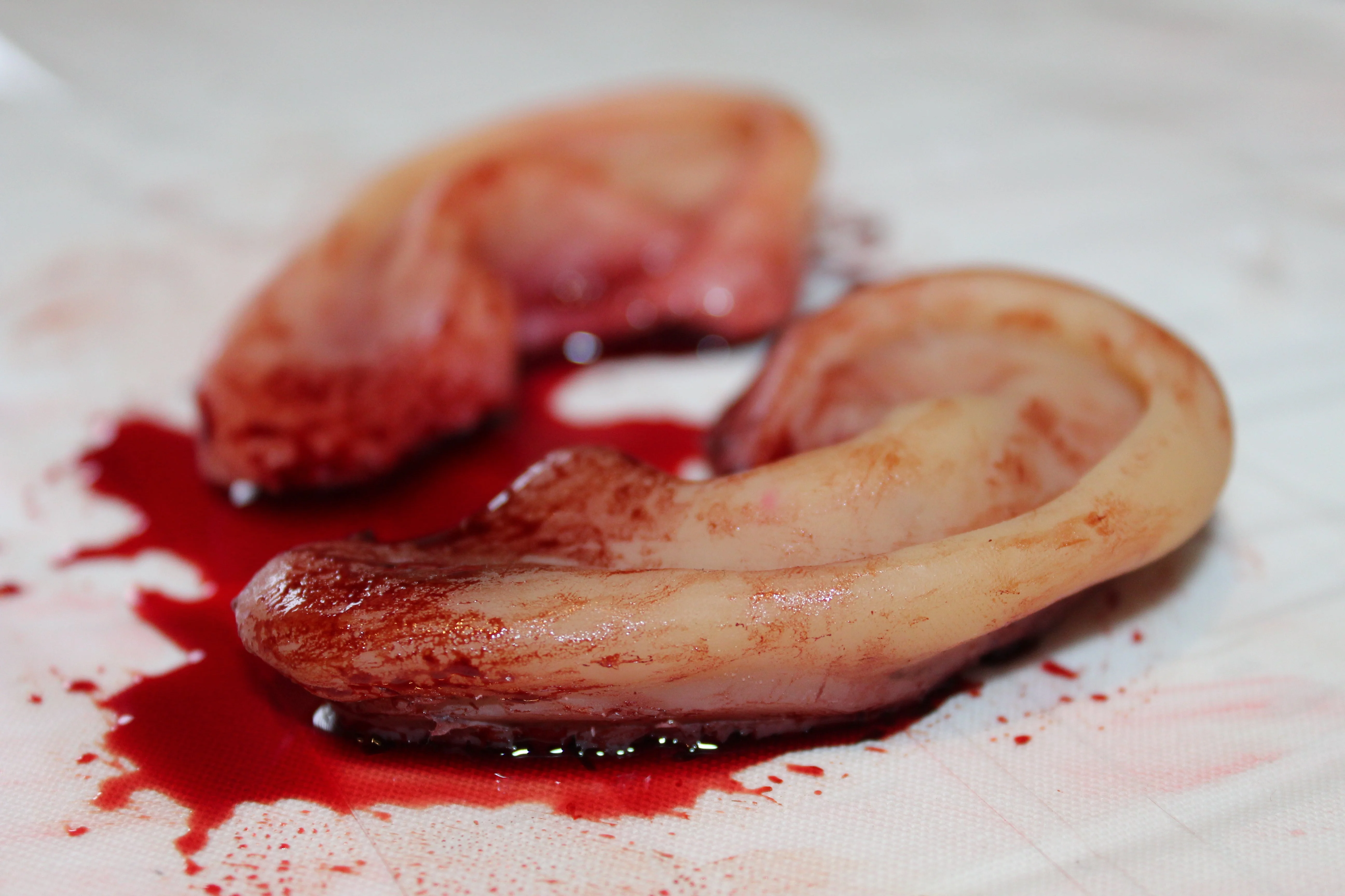 Severed Ear Prop - Image 7