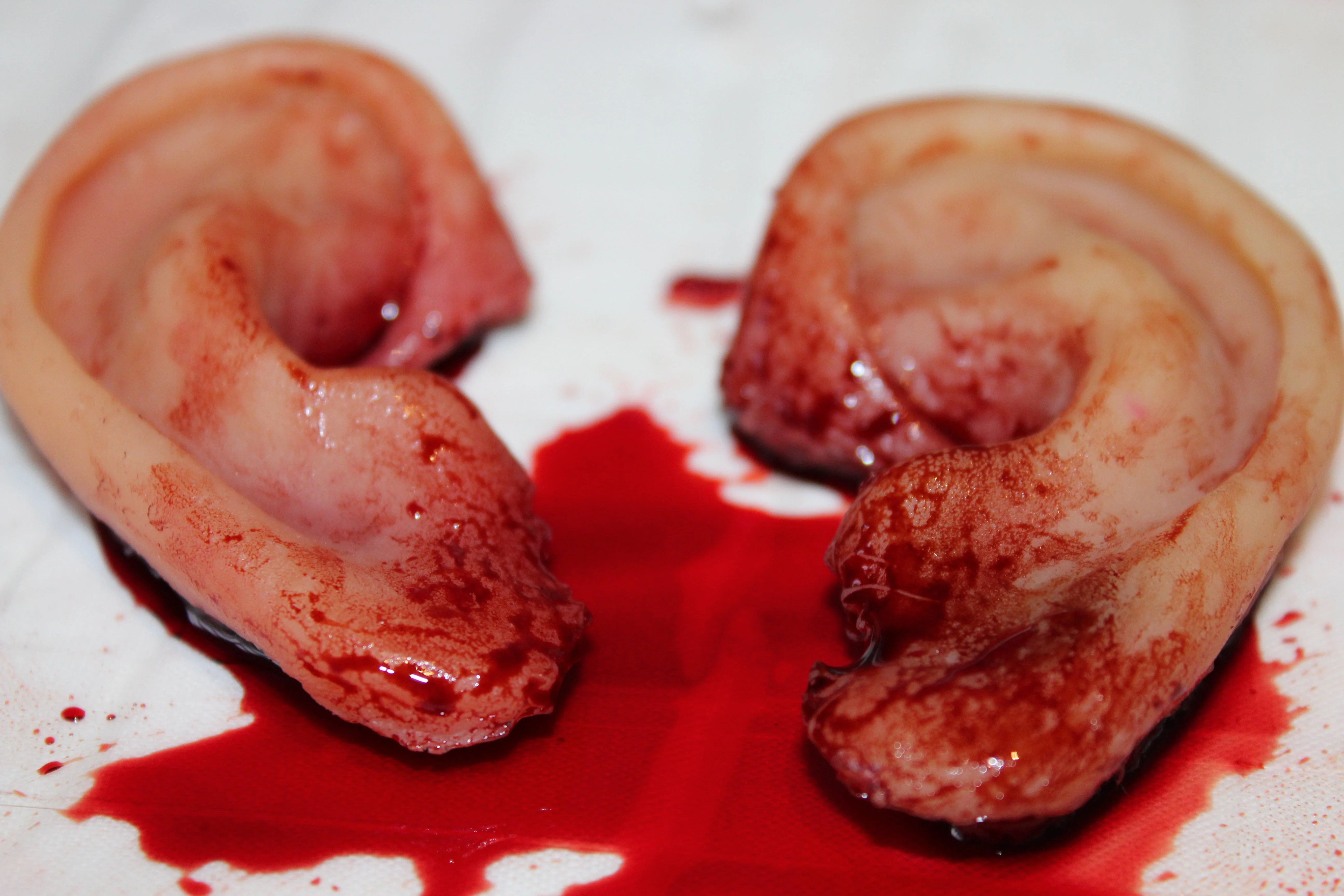 Severed Ear Prop - Image 8