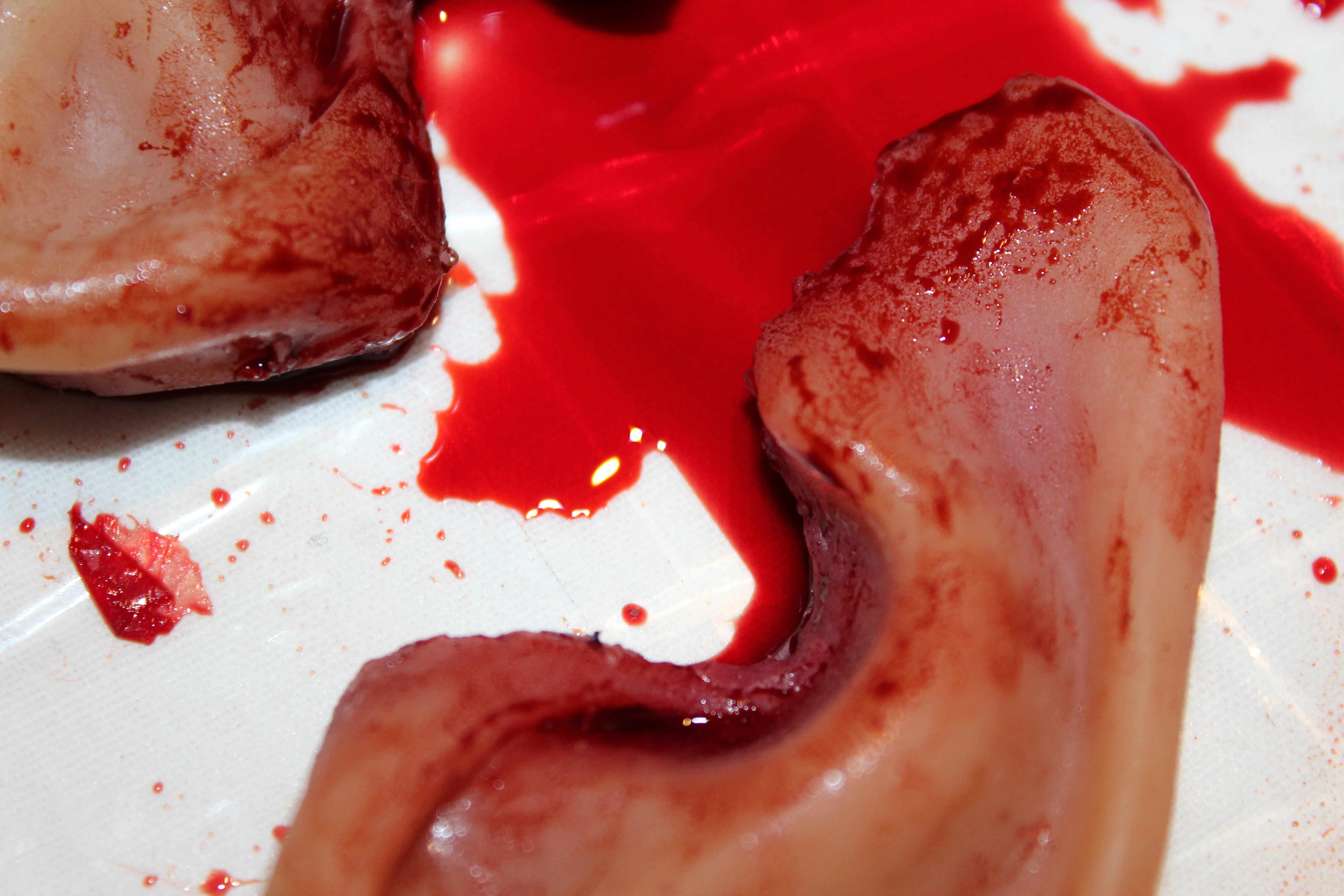 Severed Ear Prop - Image 9