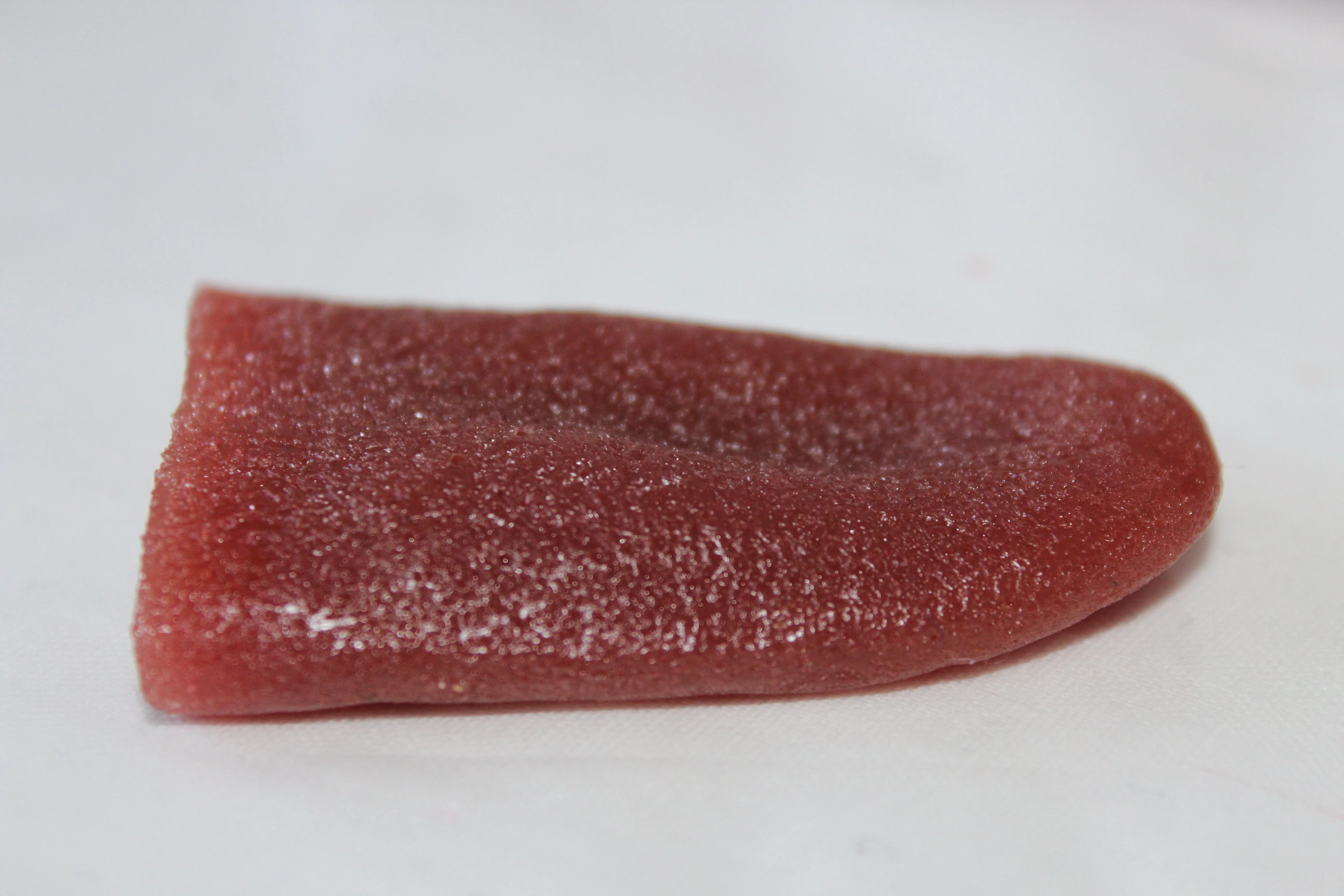 Severed Tongue Prop - Image 12