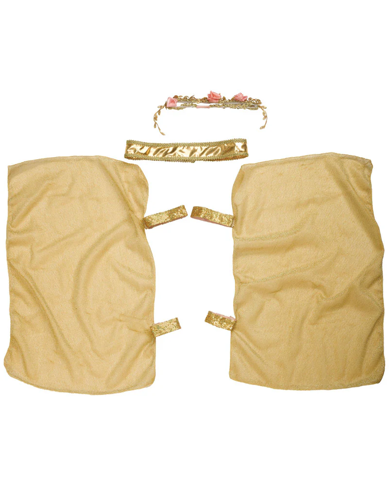 Sun Goddess Girls Costume - Image 4