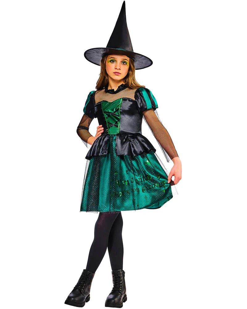 The Wizard Of Oz Wicked Witch Deluxe Girls Book Week Costume - Image 3