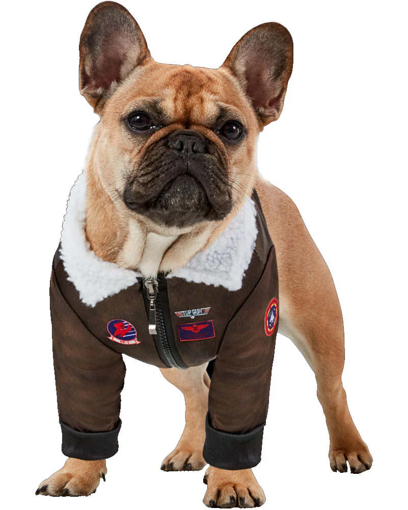 Top Gun Pet Costume - Image 2