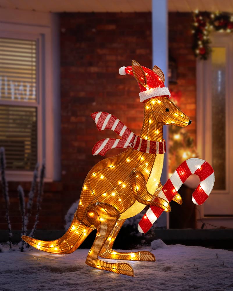 Twinkle Mesh Christmas LED Kangaroo With Cane 1m - Image 4