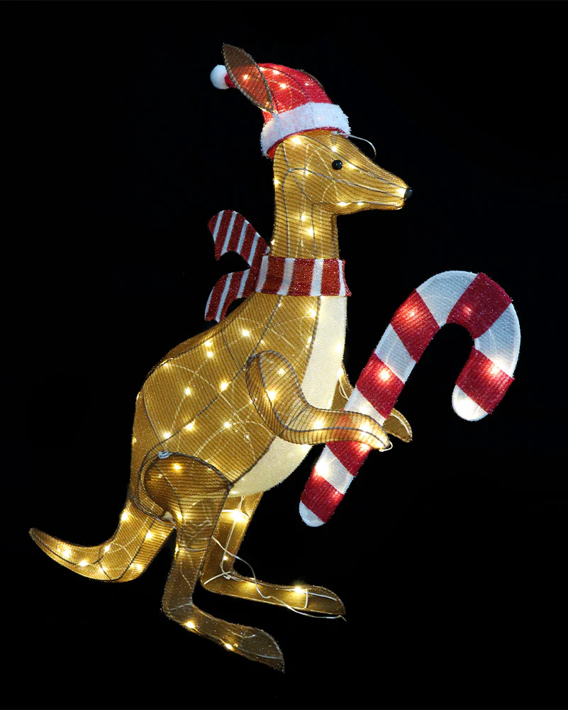 Twinkle Mesh Christmas LED Kangaroo With Cane 1m - Image 5