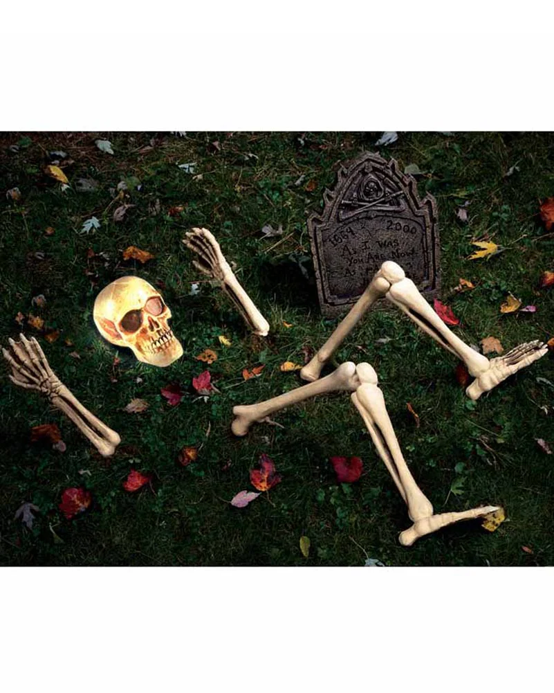 Up From Down Under Skull with Bones