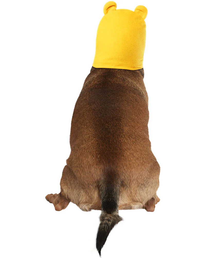 Winnie The Pooh Pet Hoodie - Image 2