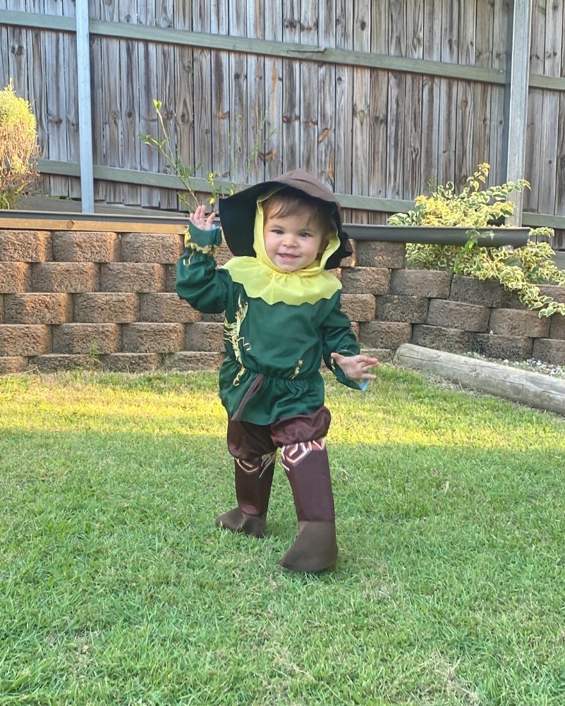 Wizard of Oz Scarecrow Boys Toddler Book Week Costume - Image 3