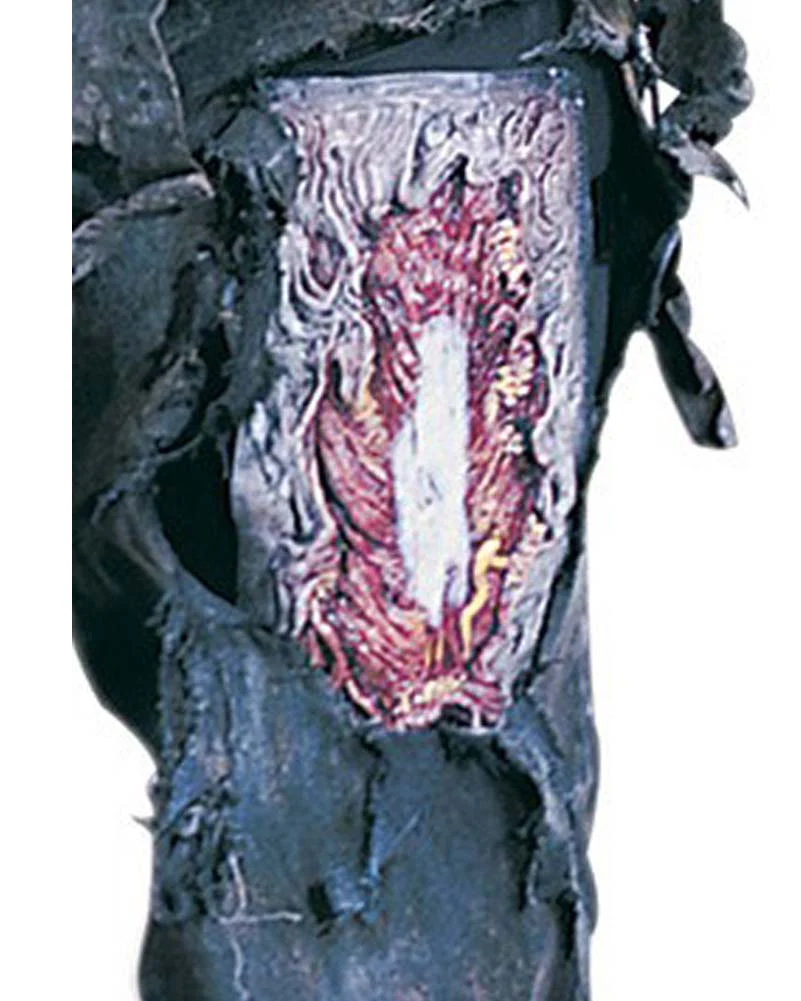 Zombie Arm and Leg Bone Set - Image 3